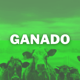GANADO